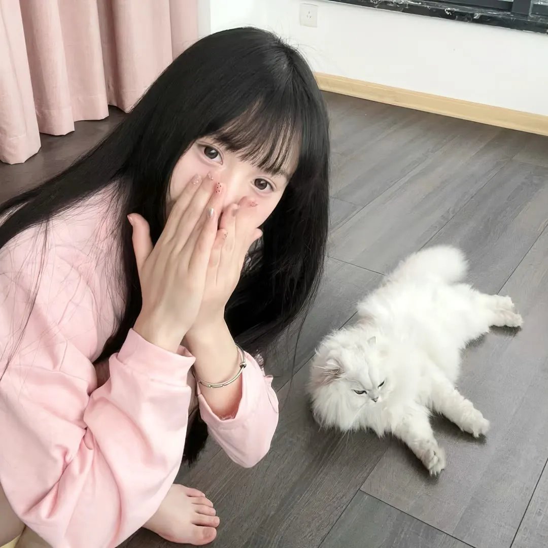 女人的碎片